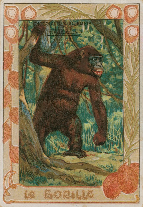 Gorilla af French School