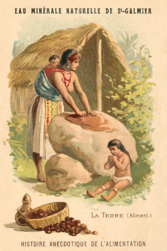 Jordnødder (chromolitho) af French School
