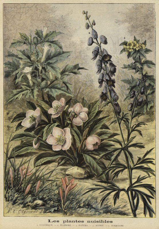Skadelige planter af French School