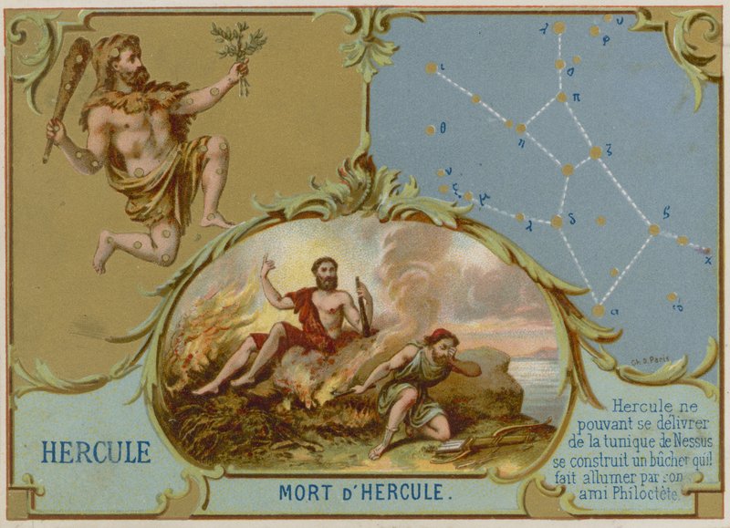 Herkules af French School