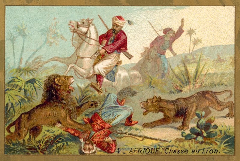 Jagt løve i Afrika (chromolitho) af French School
