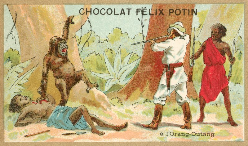 Jagt orangutang (chromolitho) af French School