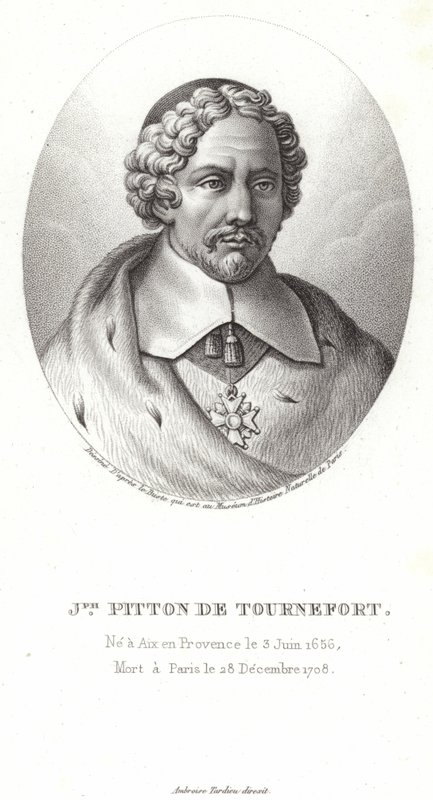 Joseph Pitton de Tournefort af French School