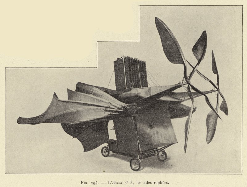 Fly nr. 3, foldede vinger (gravering) af French School