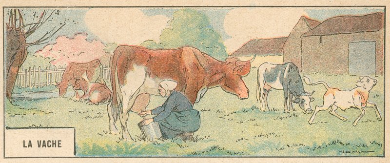 La Bache (Sort Litho) af French School