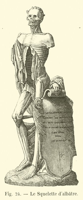 Alabastskelettet af French School