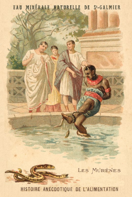 Muræner (chromolitho) af French School