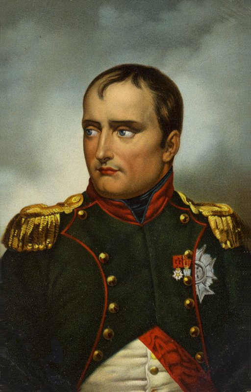 Napoleon I af French School