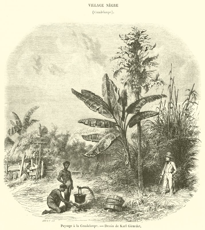 Landskab i Guadeloupe (gravering) af French School