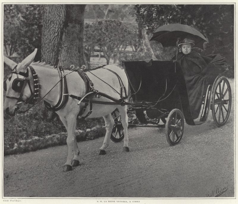 Dronning Victoria i Cimiez af French School