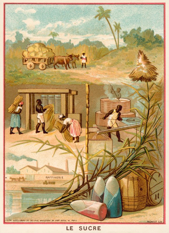 Sukker (chromolitho) af French School
