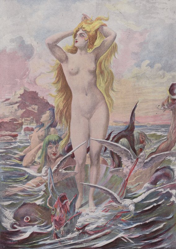 Venus Anadyomene af French School