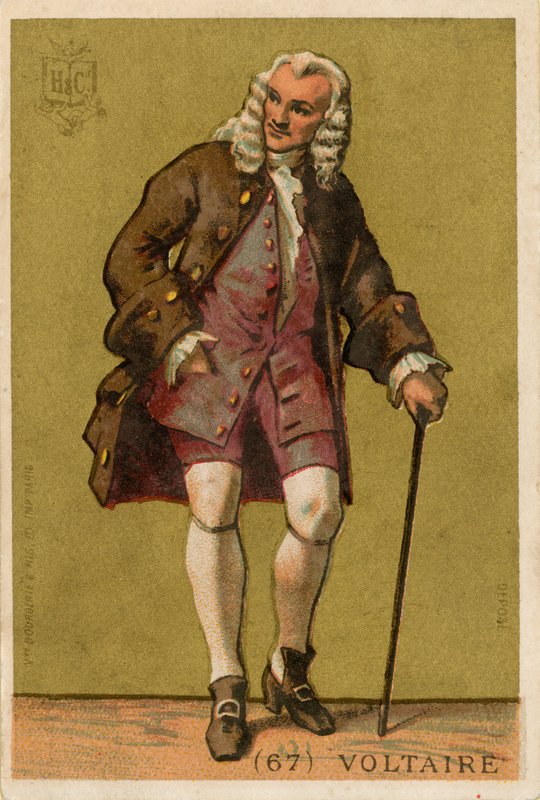 Voltaire af French School