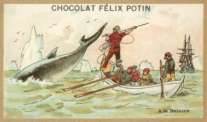 Hvalfangst (chromolitho) af French School