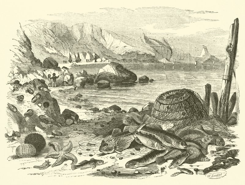 Fiskeri (gravering) af Friedrich Specht