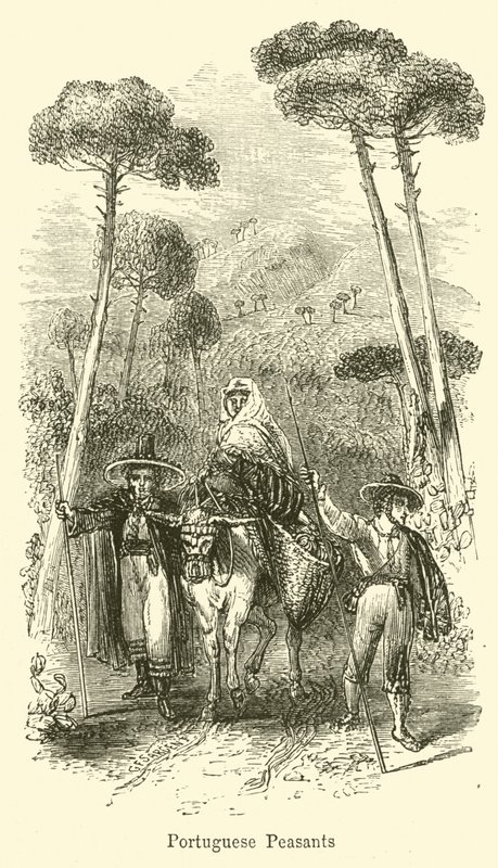 portugisiske bønder af G. F. Sargent