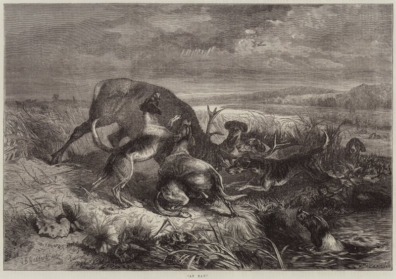 Ved bugten af George Bouverie Goddard