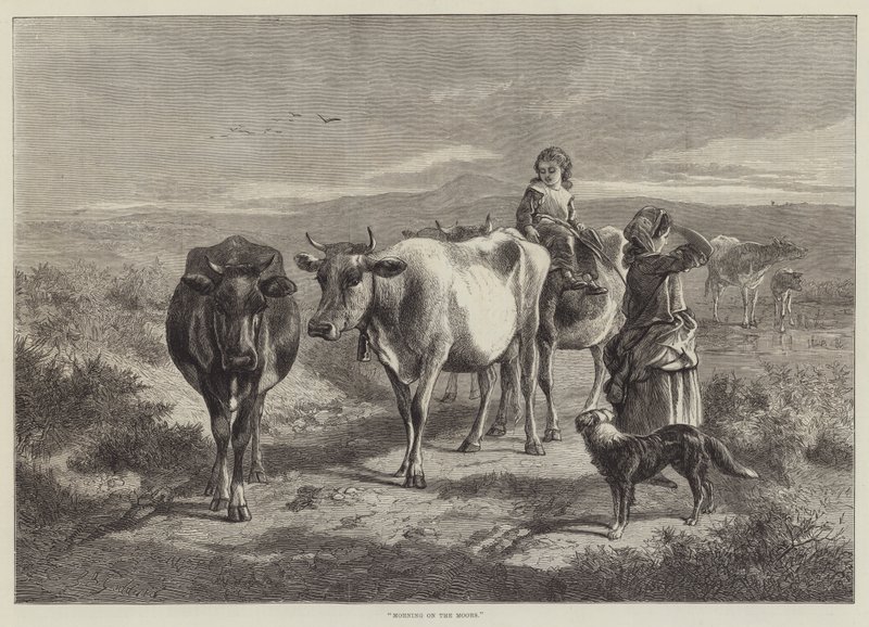 Morgen i Moors af George Bouverie Goddard