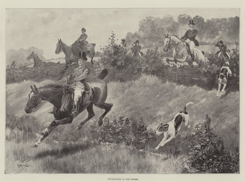 Ungejagt i Shires af George Derville Rowlandson