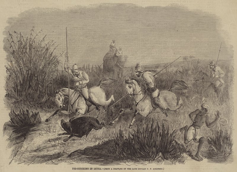 Grisestokning i Indien af George Francklin Atkinson
