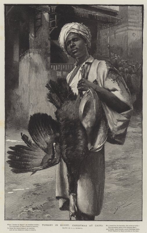 Tyrkiet i Egypten, jul i Cairo af George L. Seymour