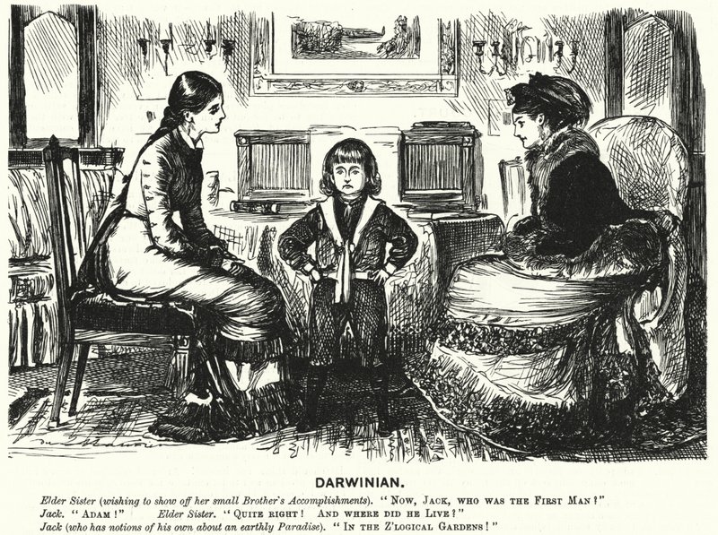 Punch tegneserie: (gravering) af George (after) Du Maurier