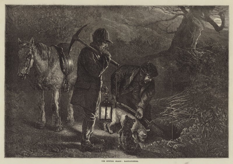 Jagtsæsonen, jordstoppende af George Bouverie Goddard