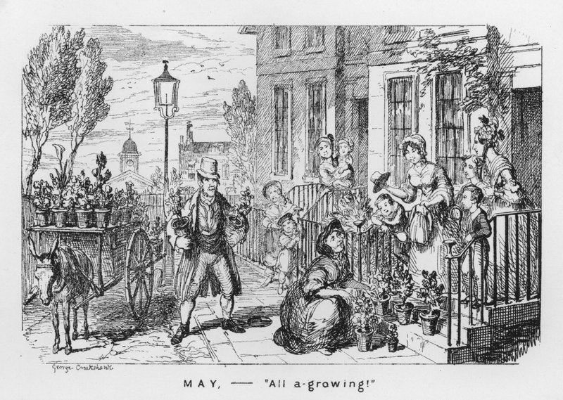 maj, alt i vækst (gravering) af George Cruikshank