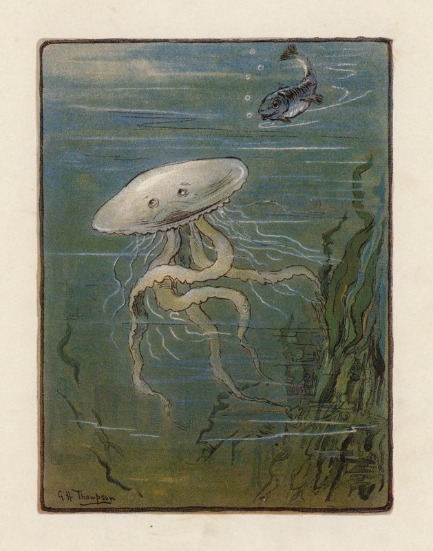 The Jellyfish (farvelitografi) af George Henry Thompson