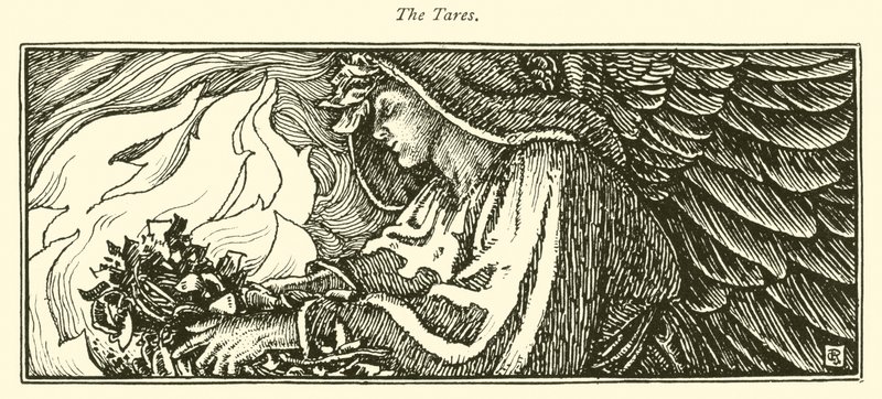 The Tares (gravering) af George Woolliscroft Rhead