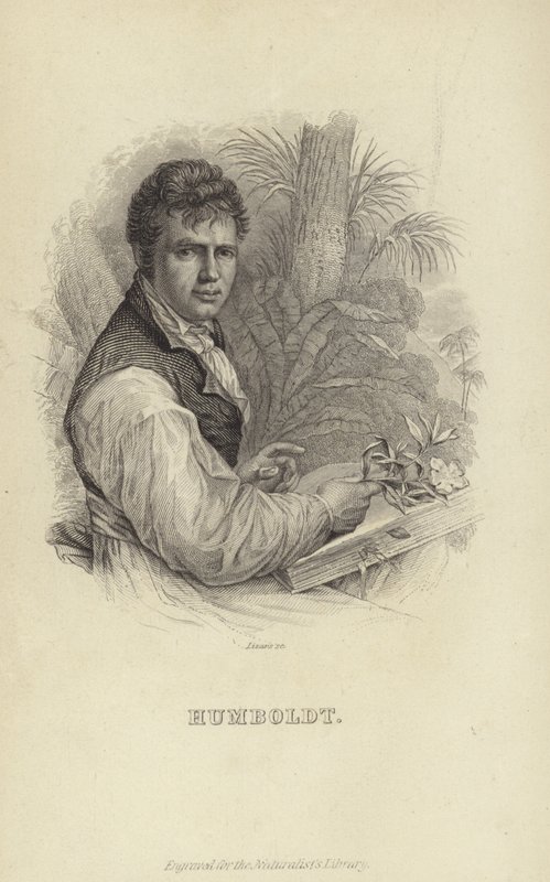 Alexander von Humboldt af German School
