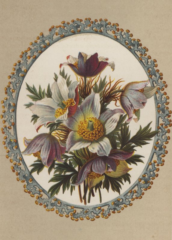 Anemoner (chromolit) af German School