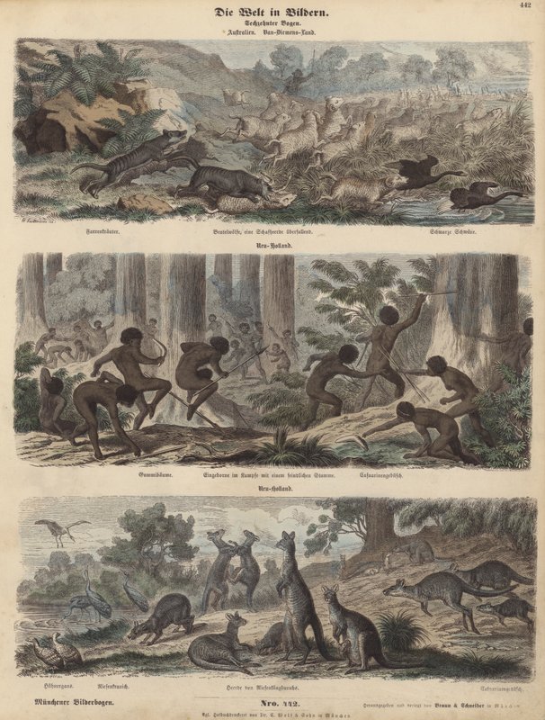 Australien (farvet gravering) af German School
