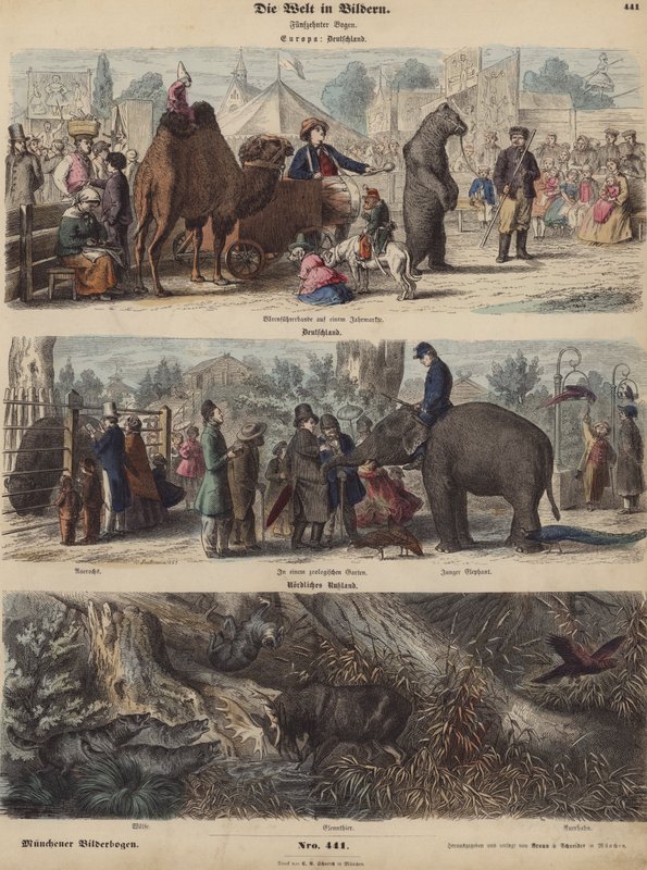 Europa (farvet gravering) af German School