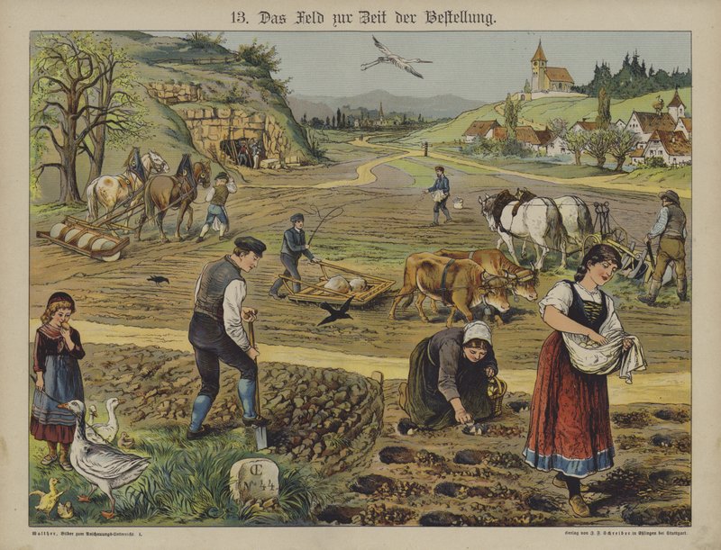 Landbrug (farve litho) af German School