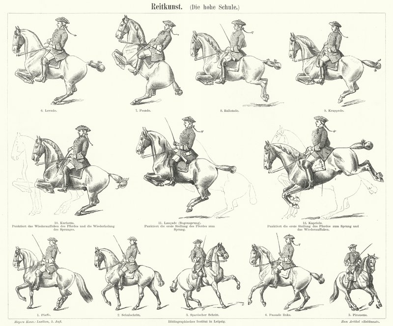 Horsemanship (gravering) af German School