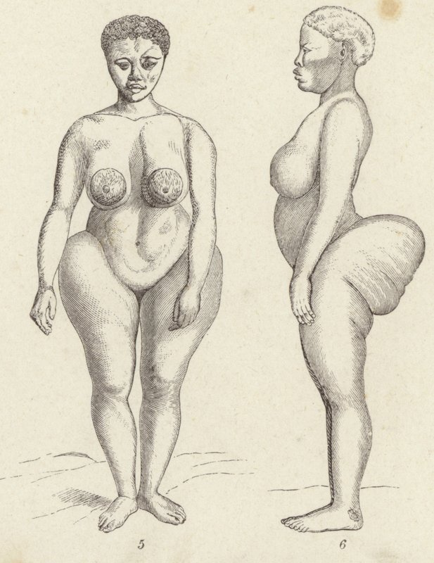 Hottentot Venus (gravering) af German School