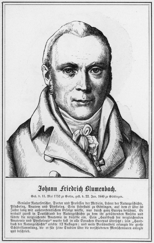 Johann Friedrich Blumenbach (gravering) af German School