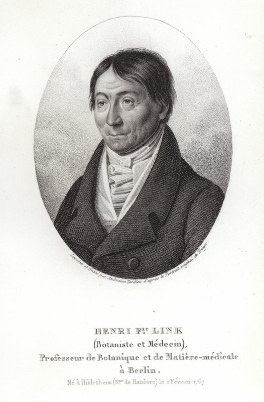 Johann Heinrich Friedrich Link af German School