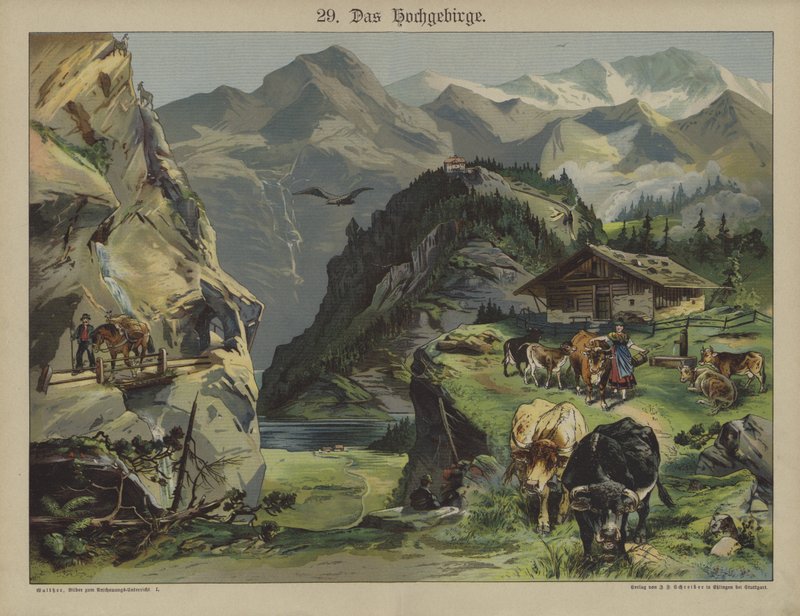 Bjergliv (farve litho) af German School