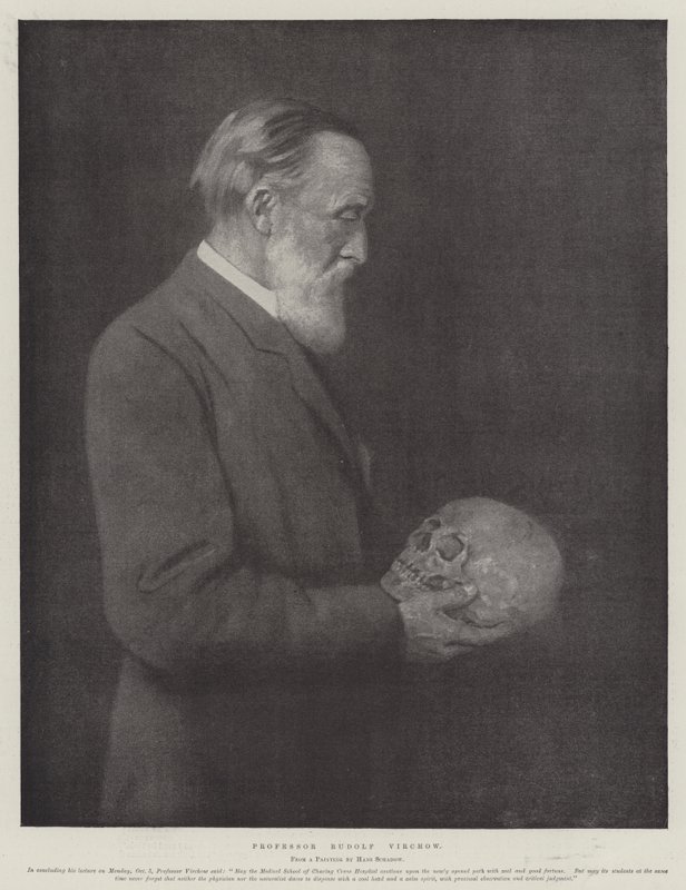 Professor Rudolf Virchow (litho) af German School