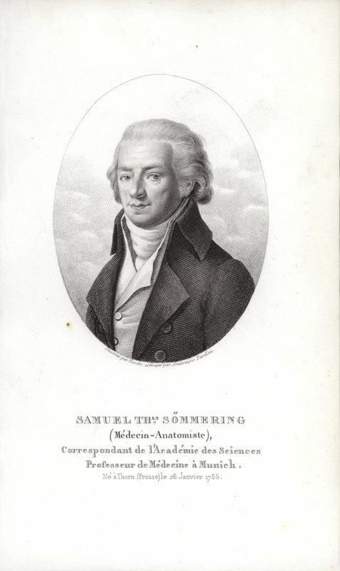 Samuel Thomas von Soemmerring af German School