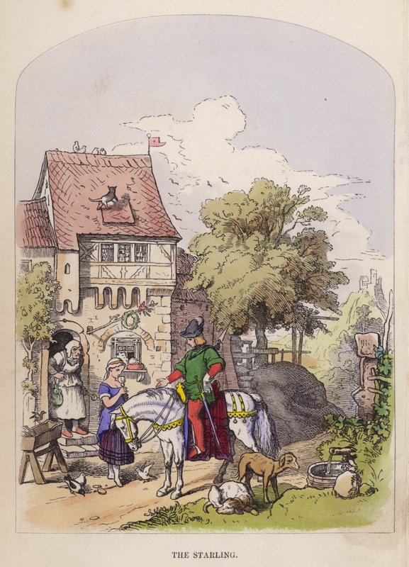 Stæren (farve litho) af German School