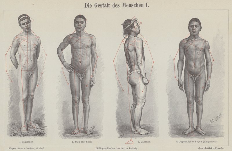 Den menneskelige figur (gravering) af German School