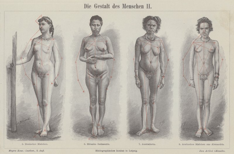 Den menneskelige figur (gravering) af German School