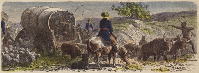 Vogntog i Sydafrika (farvet gravering) af German School