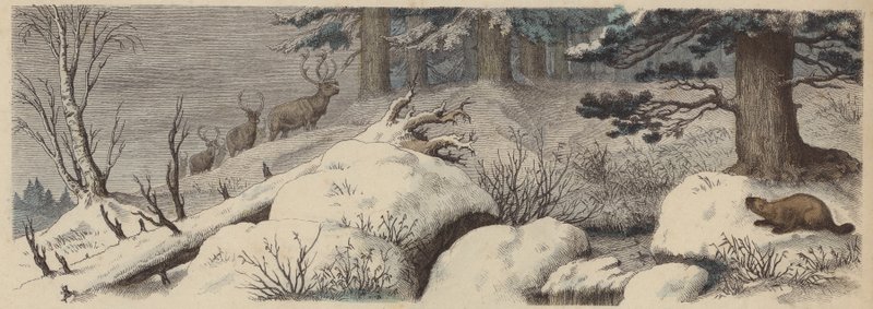 Vinterlandskab i Canada (farvet gravering) af German School