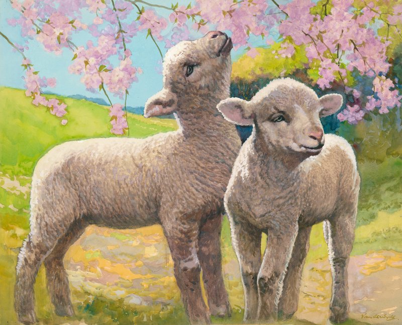 To lam, der spiser blomster (gouache på papir) af Gerritt Vandersyde