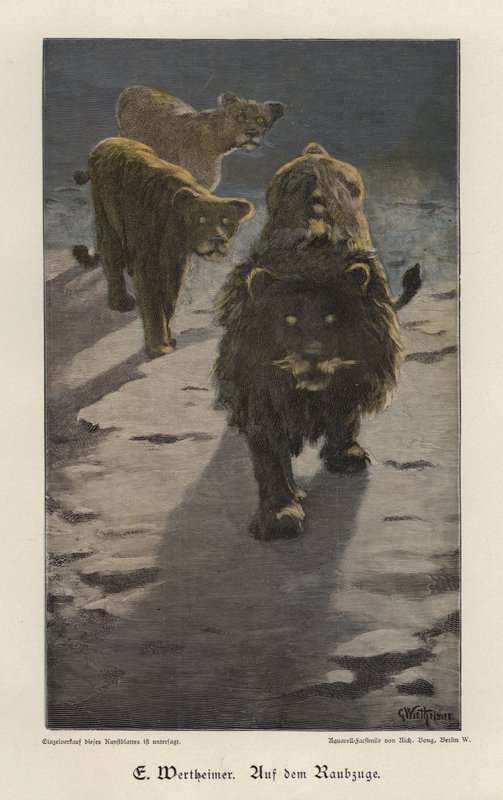 On the Raid (farvet indgravering) af Gustav Wertheimer