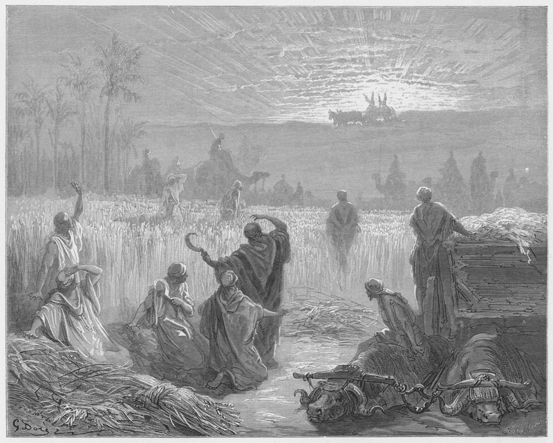 Gustave Dore Bibelen: Arkens tilbagevenden til Beth-Shemesh af Gustave Dore